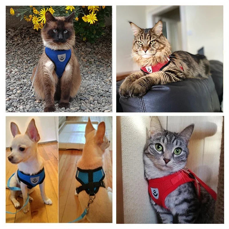 Pet Harness Adjustable Vest Walking Traction Rope Set for Dog Collar Breathable Mesh Harness for Small Medium Cat Collar