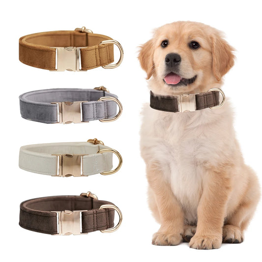 Customized Dog Collar dog neck belt Personalized Collar for Dogs Custom pet Address tags Pets Supplies for small and large dogs